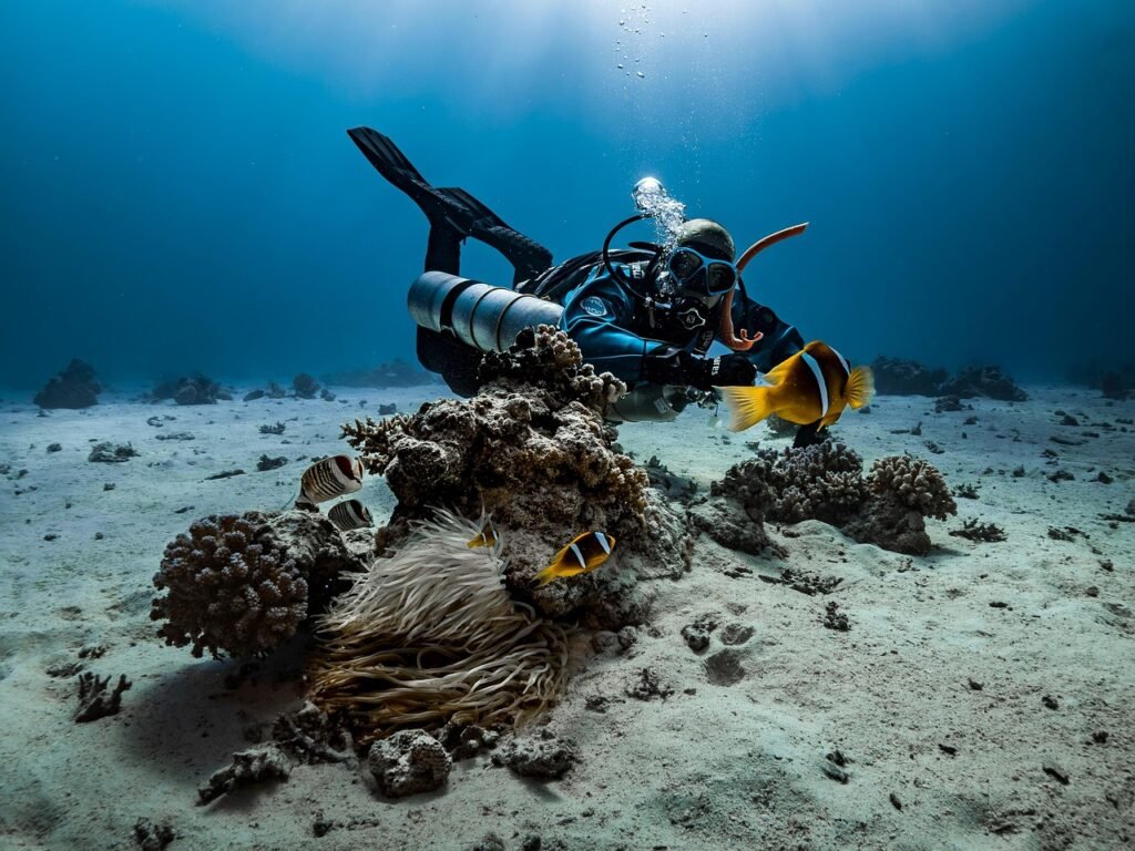 Diver approaching the reef at Netrani Island